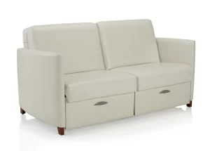 Affina Loveseat Sleeper