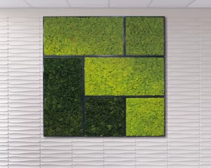 Frames for Biomontages