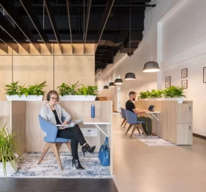 Planters and Green Walls